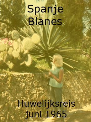 header rechts